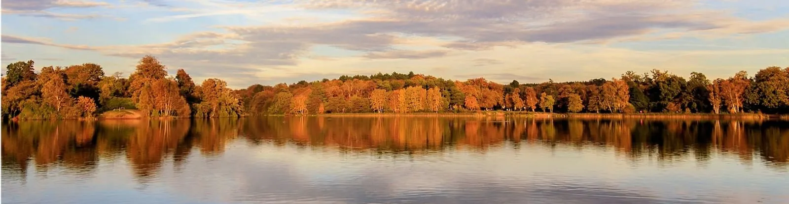 A lake surrounded by autumn trees near Chertsey