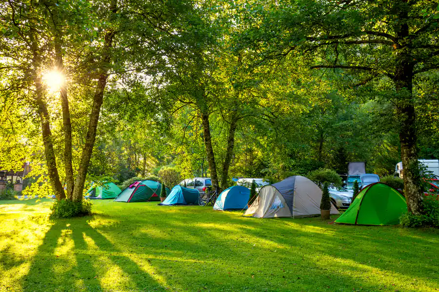 Campers around a campfire beside tents at dusk
